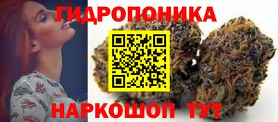 шишки Бердск